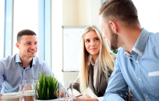 Business team discussing together business plans in office