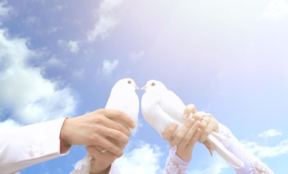 Pigeons on the wedding in the hands of young people on the background of the sunny sky