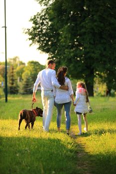 little girl with a pregnant mother,a happy father and a pet dog for a walk in the Park on a spring day.the photo has a space for your text