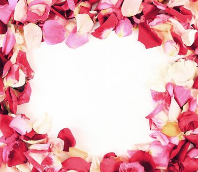 frame with beautiful rose petals on white background, in the middle of a large space for advertising text