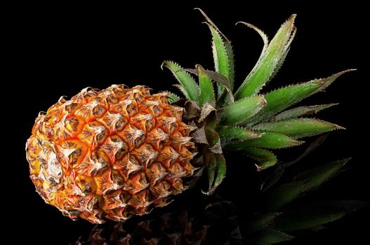 Single whole pineapple with reflection lies rotated isolated on black background