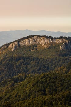 Green mountain forest landscape. beautiful nature with alpine meadows  in Bihor, Romania.