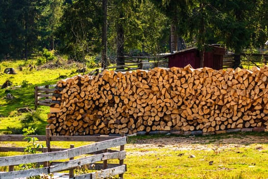 Cut and stacked dry woods. Pile of sawing woods.