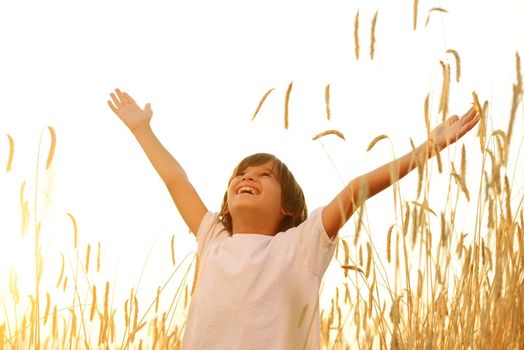 Kid at wheat field