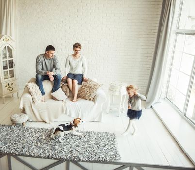 happy parents watched their little girl playing with pet dog in living room spacious