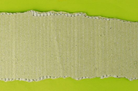 Piece of cardboard on a green background for your own text