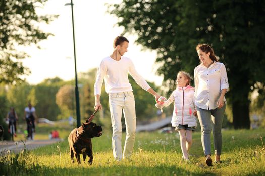 little girl with a pregnant mother,a happy father and a pet dog for a walk in the Park on a spring day.the photo has a space for your text
