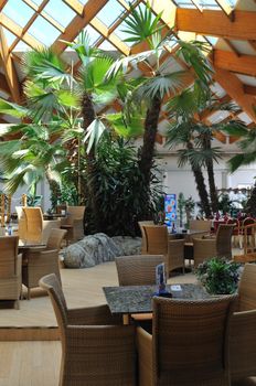 beautiful caffe restaurant with palm tree and little waterfall and bridge