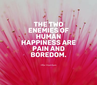 Quote by Arthur Schopenhauer. The two enemies of human happiness are pain and boredom. High quality photo