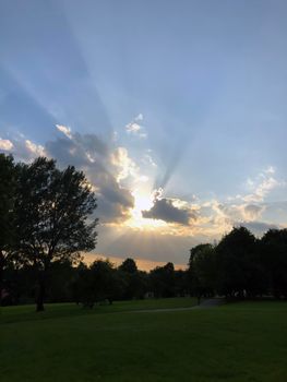 The setting sun behind trees. High quality photo