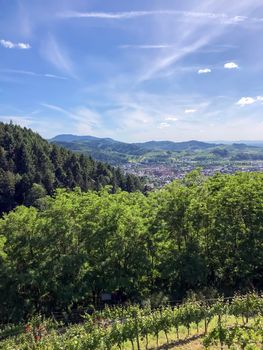 Black forest mountain - stock photo. High quality photo