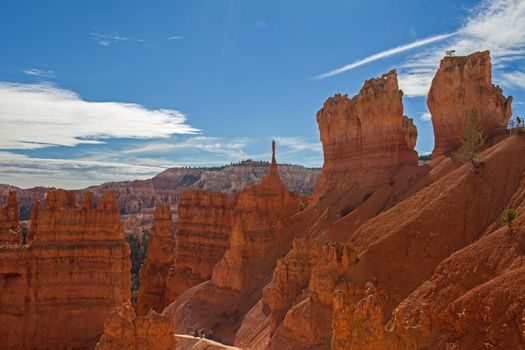 View of the Bryce Canyon landscape seen from the Navajo Loop