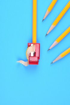 Back to School Concept: Four Yellow Pencils pointing  a sharpener and shavings, on a blue background. Copy space on the left and bottom.
