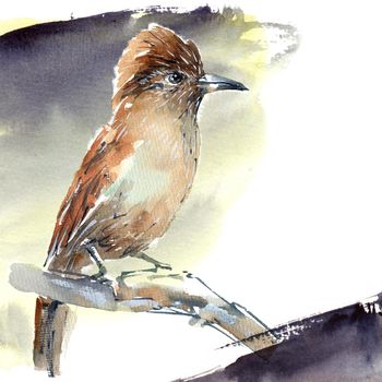 Watercolor illustration of exotic bird perched on a tree trunk
