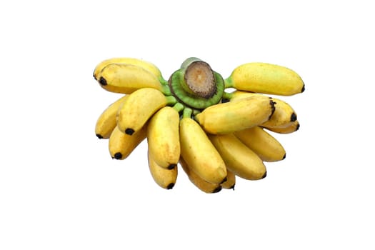bananas on a white background Bananas contain vitamins that balance the body.