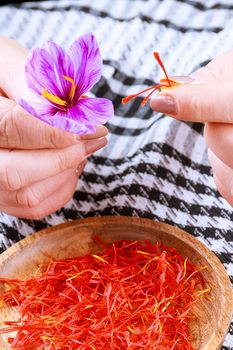 The process of separating the saffron strands from the rest of the flower. Preparing saffron threads for drying before using in cooking, cosmetology or medicine.