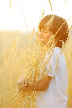 Kid at wheat field hugging harvest grain