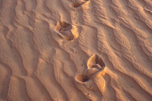 Footprints in the sand in the red desert at Sunrise.