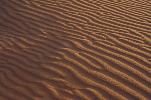 Sand with waves in the red desert.