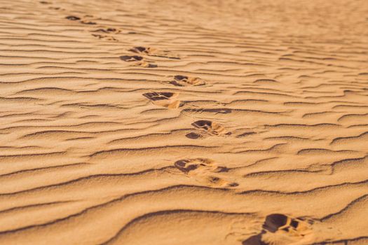 Footprints in the sand in the red desert at Sunrise.