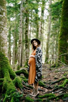 Pregnant woman stands near a moss-covered tree in a birch grove. High quality photo