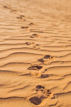 Footprints in the sand in the red desert at Sunrise.