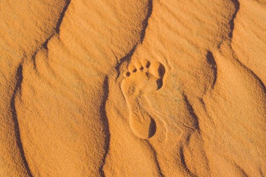 Footprints in the sand in the red desert at Sunrise.