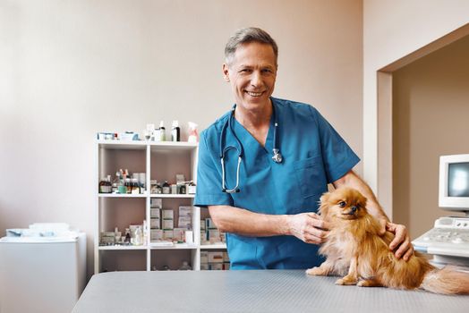 Working with animals. Positive middle aged vet stroking small and cute dog before making check up at veterinary clinic. Medicine concept. Pet care concept. Animal hospital