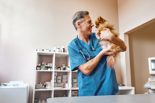 My best part of work Middle aged positive vet in work uniform talking with small ginger dog while standing at veterinary clinic. Medicine concept. Pet care concept. Animal hospital