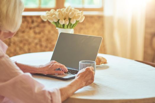 Cropped photo of senior woman sitting at table at home and using laptop while enjoying hot drink. Domestic lifestyle concept
