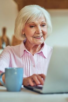Close up of smiling beautiful elderly woman using laptop and typing while looking at screen at home. Domestic lifestyle concept