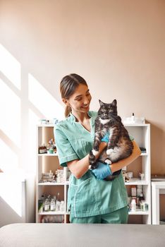Are you scared Pleasant young female vet holding a big black cat and smiling while looking at him while standing at the veterinary clinic. Pet care concept. Medicine concept. Animal hospital