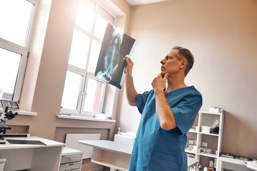 Veterinary expert. Focused male vet in work uniform looking at x-ray of his patient and thinking while standing at veterinary clinic. Medicine concept. Pet care concept. Animal hospital