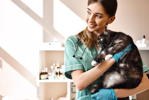 I love each of my patients Smiling female vet holding a big black fluffy cat in her hands, smiling and looking at camera while standing in veterinary clinic. Pet care concept. Medicine concept. Animal hospital