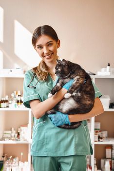 I love each of my patients Smiling female vet holding a big black fluffy cat in her hands, smiling and looking at camera while standing in veterinary clinic. Pet care concept. Medicine concept. Animal hospital