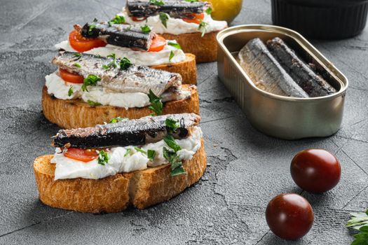 Sandwich with smoked fish set, on gray stone table background