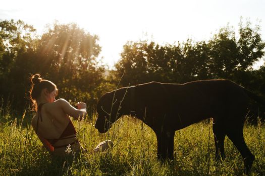 cheerful woman playing with a dog in a field in nature in summer. High quality photo