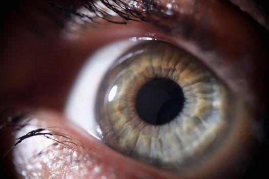 Macro photograph of beautiful green eye woman closeup. Vision diagnostics concept