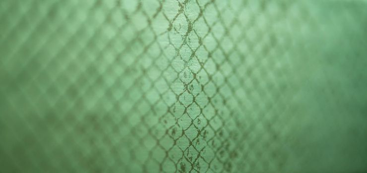 snake skin abstract background texture pattern