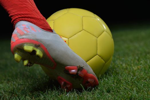 soccer player doing kick with ball on football stadium  field  isolated on black background