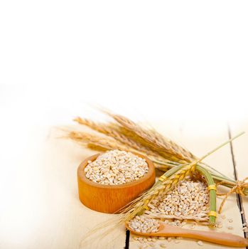 organic barley grains over rustic wood table macro closeup