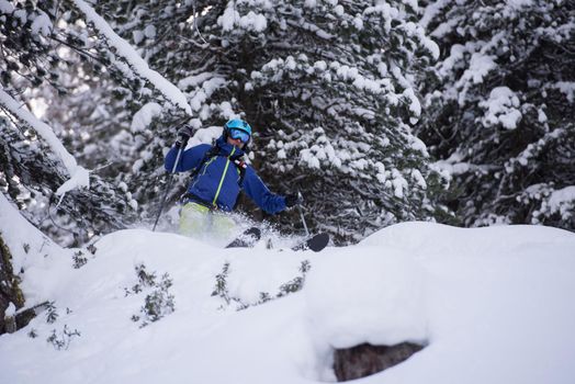 extreme freeride skier skiing on fresh powder snow in forest downhill at winter season