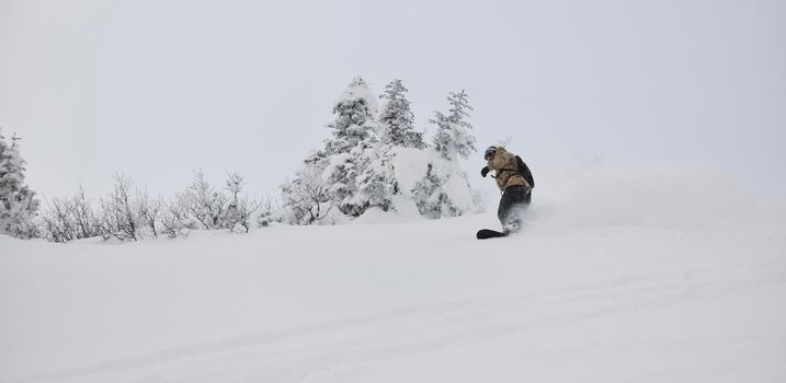 freestyle snowboarder jump and ride free style  at sunny winter day on mountain