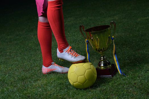 soccer player doing kick with ball on football stadium  field  isolated on black background