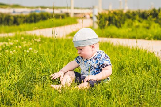 Cute little toddler baby boy child playing in the park on grass at day time. He having fun on the garden.