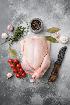 Whole chicken set, on gray stone table background, top view flat lay