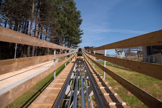 young excited mother and son enjoys driving on alpine coaster