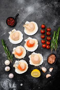 Shellfish Scallops in seashells with garlic and spices set, on black dark stone table background, top view flat lay, with copy space for text