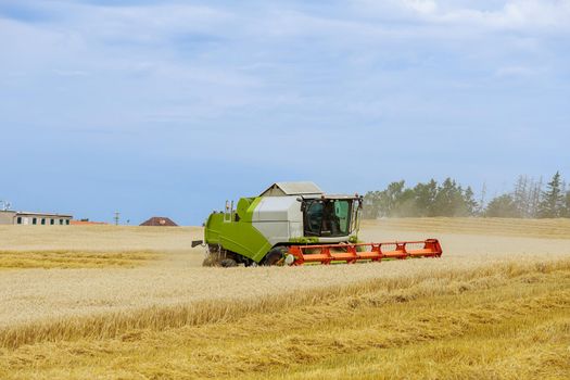 Combine harvesting wheat. A modern combine harvester working a wheat field.