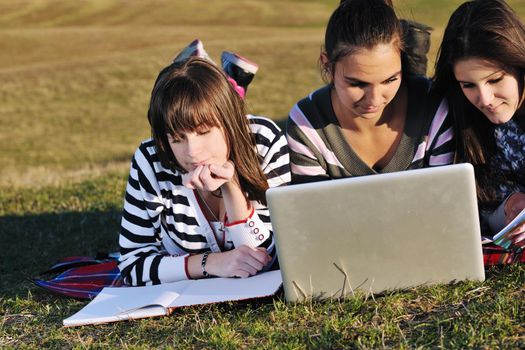 group of teen girl woman outdoor have fun and study homework on laptop computer